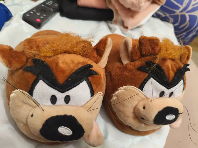 Pantufa, chinelo fofinho Taz tamanho P, deve servir 23/24