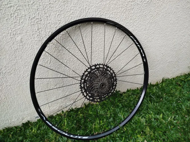 Roda traseira 29 Absolut Wild Boost tubelles c/cassete NX 12V