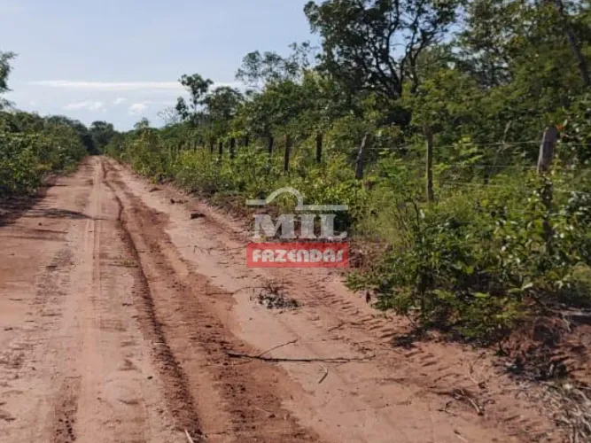 Fazenda 2.275 Hectares formosa do Rio Preto - BA