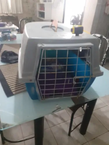 Vendo casinha de transportar pet