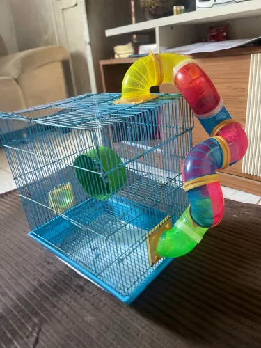 Gaiola de Hamster