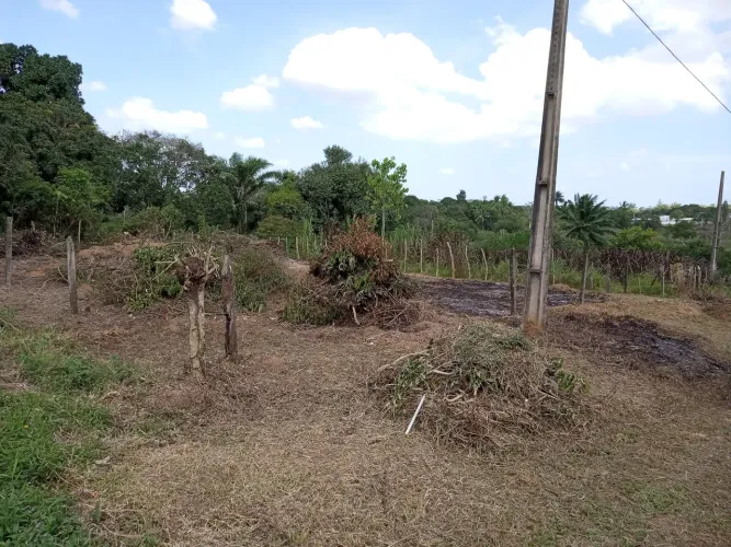 Vendo terreno no mamão 20×25 