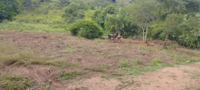 Chácara para venda de 12100 metros quadrados em Área Rural de Goiânia - Goiânia - GO