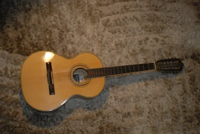 Viola Gianini Caipira acústica