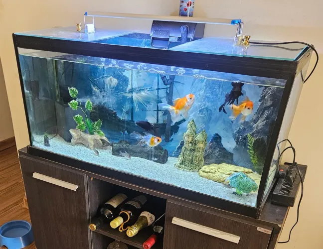 Aquário 80x40 reforçado