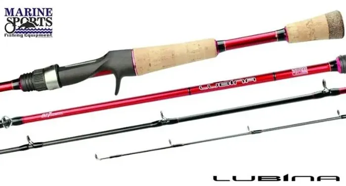 Vara de Pesca Lubina - 5'6 - 8/16lbs