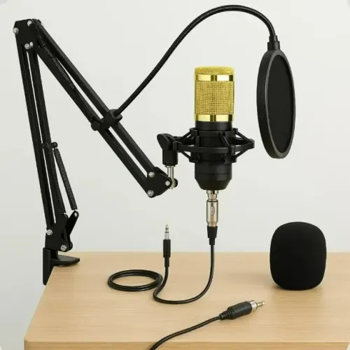 Kit Microfone Condensador Profissional com Suporte Articulado