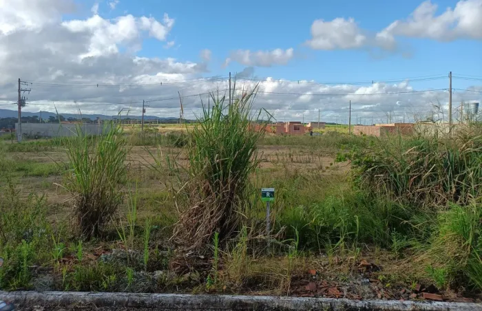 Vende-se terreno no loteamento Nova Messias.