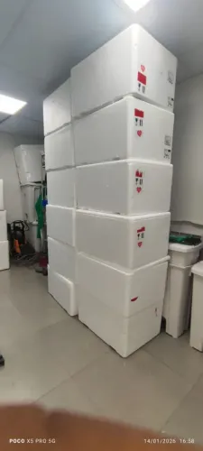Caixa de isopor 100L