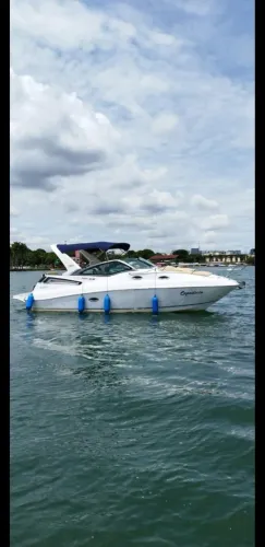 Lancha Focker 305 GT | Alto Padrão