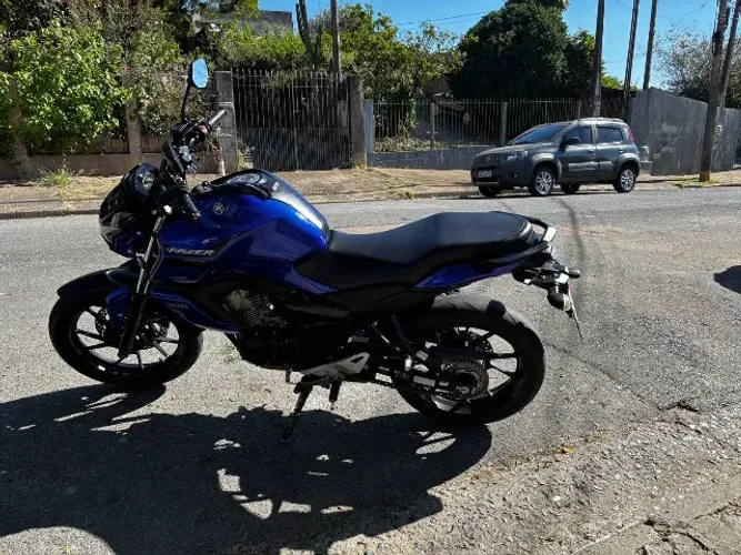 Fz15 2024