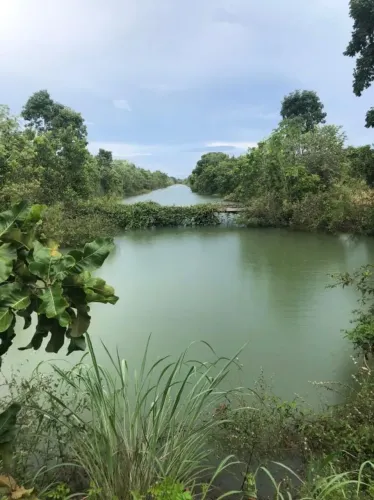Fazenda a venda em Formoso do Araguaia- Tocantins