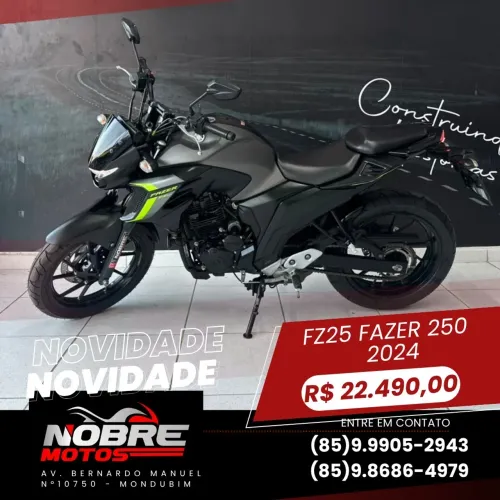 Yamaha Fz25 Fazer 250 2024