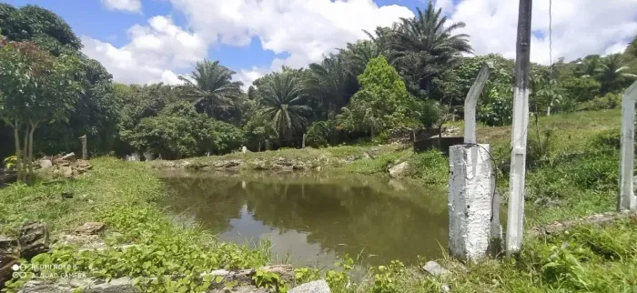 Viva cercado pela natureza e desfrute de uma vida tranquila e produtiva!