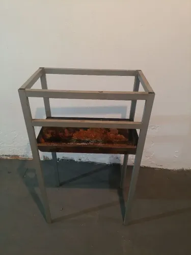 vendo churrasqueira 