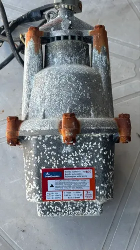 Bomba Sapo