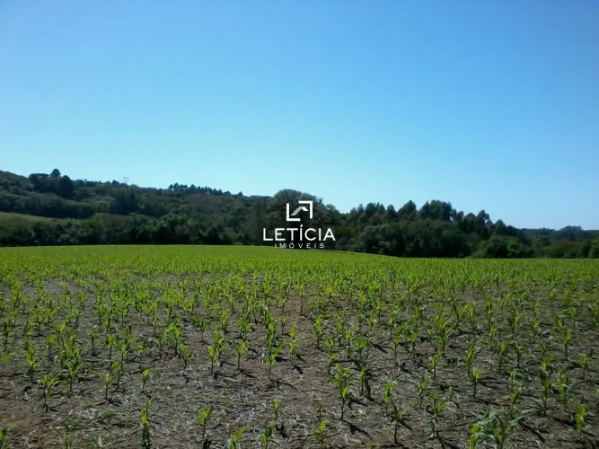 Área à venda