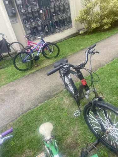 Bike City Zen