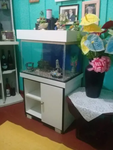 Aquário grande com acessórios