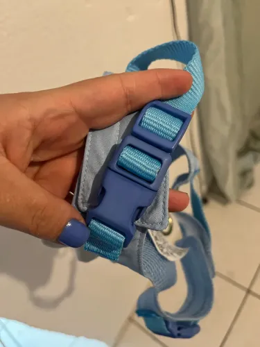 Guia para cães