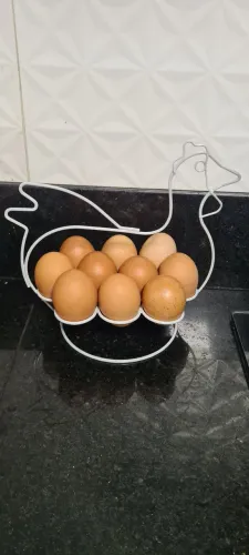 Porta ovos arame galinha