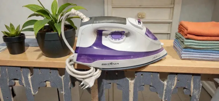 Ferros de passar roupa, a vapor, valor unitário.