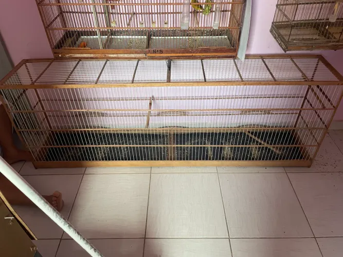 Voador 2 metros malha larga