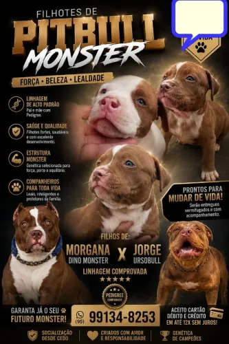 PITMOSTER COM PEDIGREE