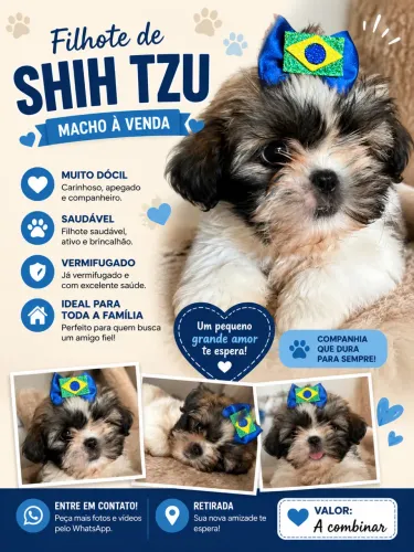 Shitzu