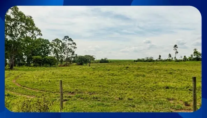 SÍTIO - Imóvel denominado Morros, Data Periperi, com 6 hectares de capim e açude médio, It