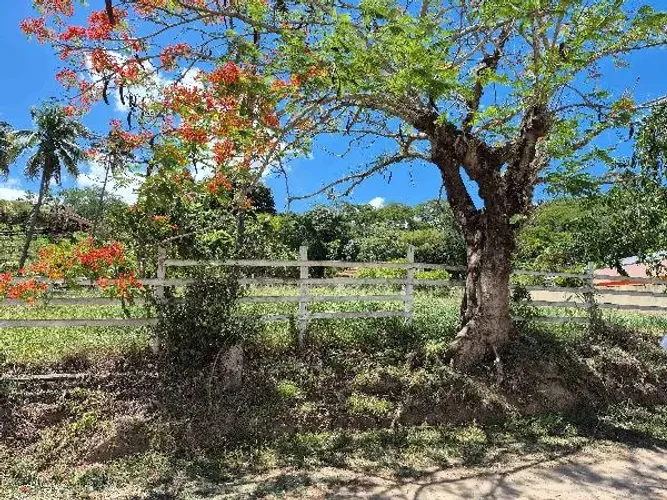 Imóvel em destaque Casa no Bairro Marrecas, Paraiba do Sul - RJ, Nº 671, 3 quartos, 1 vag