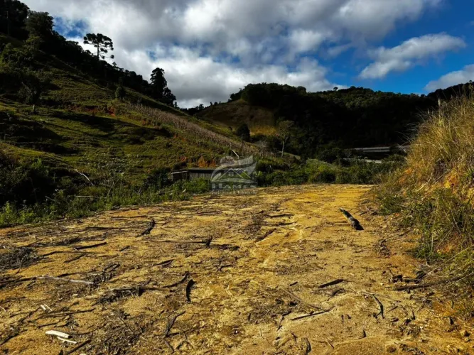 Terreno Rural para Venda em Angelina, MATO GROSSO