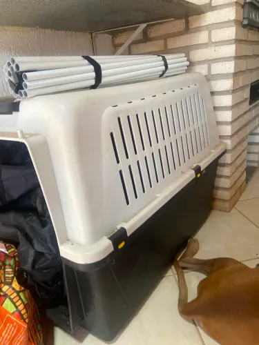 Caixa de cachorro