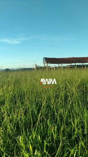 Fazenda à venda, 4540000 m² por R$ 6.000.000,00 - 256 - Tesouro/MT