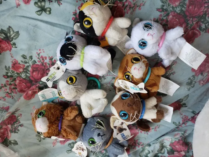 The artist collection The Cat - Completo