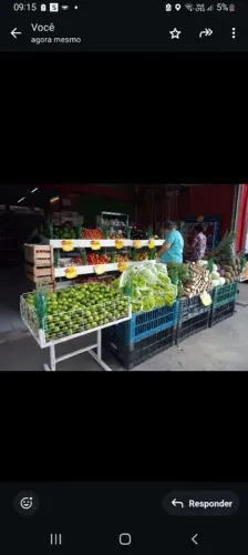 Expositor hortifruti
