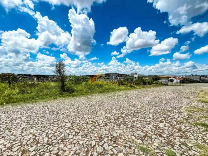 Lote localizado no bairro São Roque