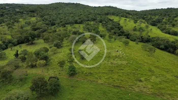 Caldazinha - Fazenda com 40 Alqueires codigo: 118399