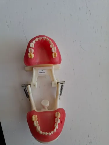 Manequim Pronew Odontopediatria 