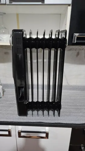 Aquecedor Elétrico a óleo 220V