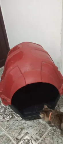 Casinha pet