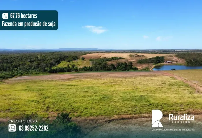 45 HA AGRICULTÁVEIS | NASCENTES | R$ 2,52 MILHÕES