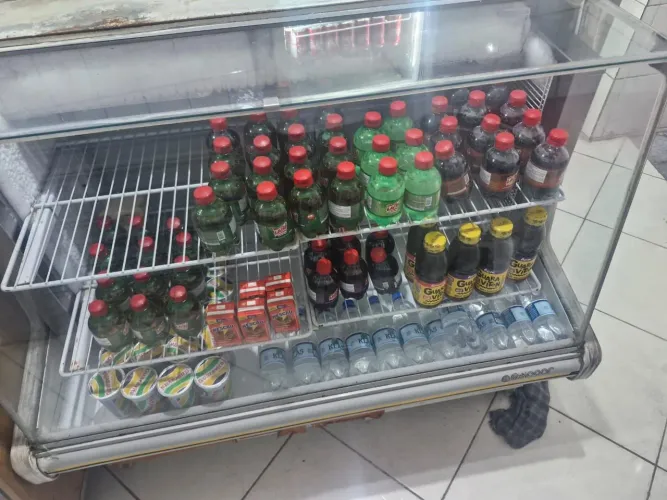 Freezer expositor