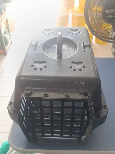 Caixa para Transporte Pets Alvorada
