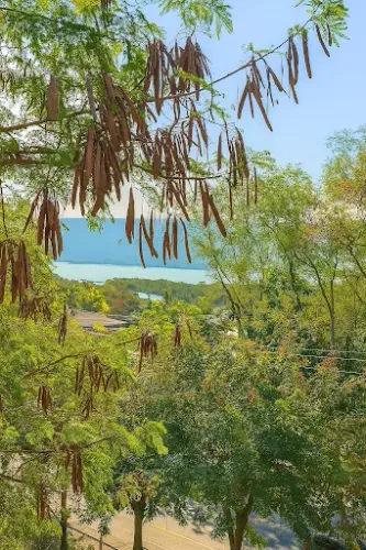 Terreno à venda, 450 m² por R$ 300.000,00 - Piratininga - Niterói/RJ