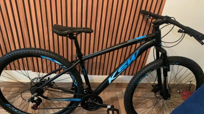 Bike 29