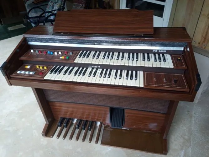 Órgão Eletrônico musical Gambity