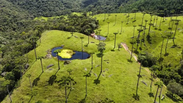 Fazenda/Sítio/Chácara para venda possui 290.000 metros quadrados com 2 quartos