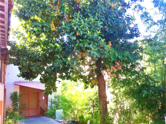 Terreno à venda em Santana - SP