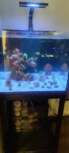 Aquário completo